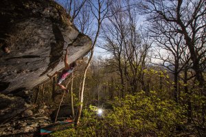 Principia(V8)  Kai Böttcher Photo