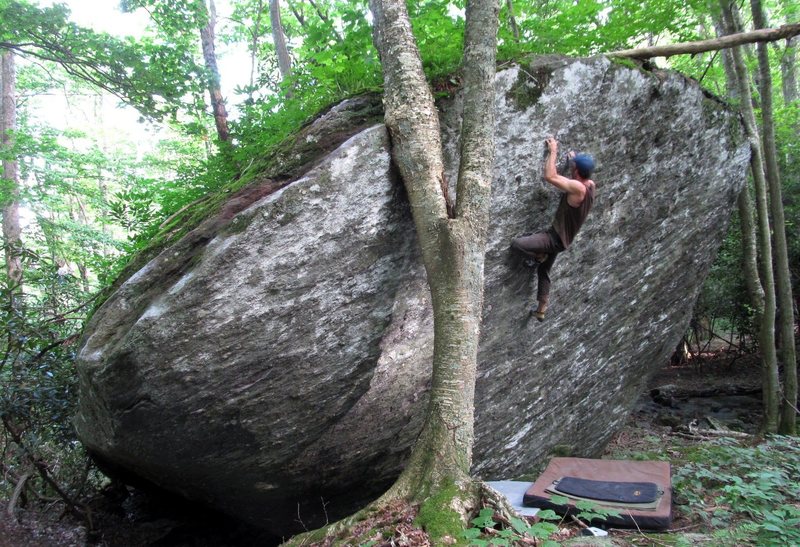 108270450_medium_1494273094