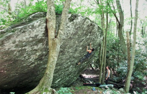 109327918_large_1494346742