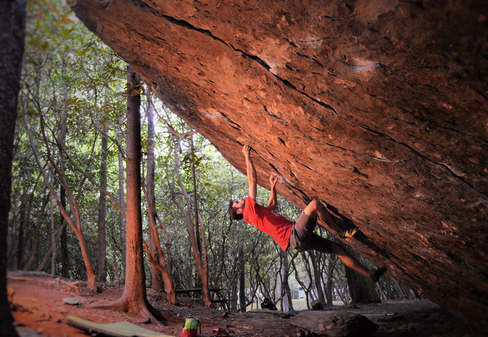 111893184_large_1494309924